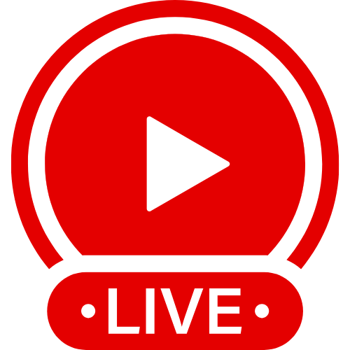Bbw To Ssbbw | Live Webcam Shows & Interactive Adult Entertainment